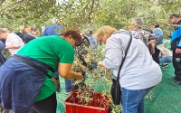 OLIVASZÜRET AZ ADRIÁN PROGRAM *****