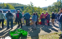 OLIVASZÜRET AZ ADRIÁN PROGRAM *****